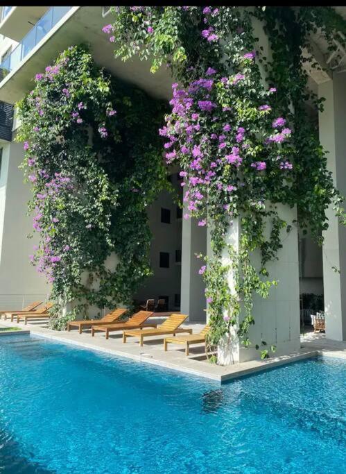 Charming Zen-Style Beach Apartment At Punta Caelo San Carlos Ngoại thất bức ảnh